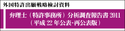 分析調査報告書2010