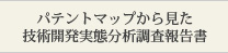パテントマップから見た技術開発実態分析調査報告書